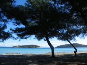 DSCF3643.JPG